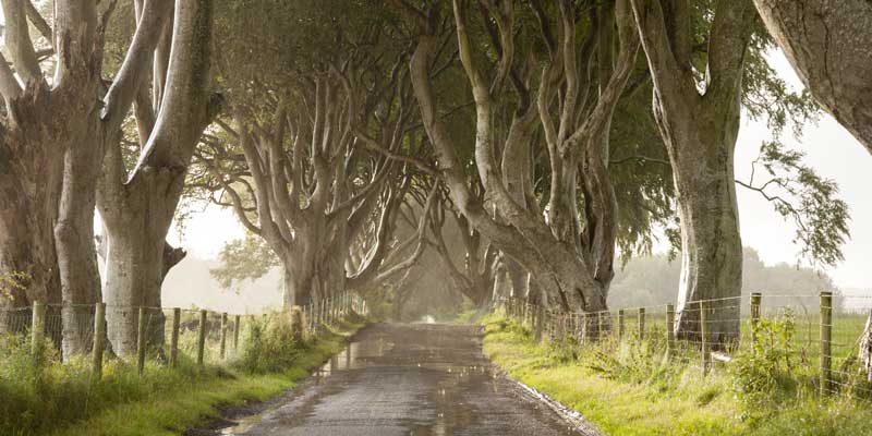 Ireland