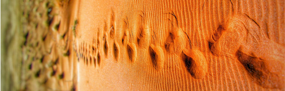 Non lasciate tracceâ¦a parte quelle dei vostri piedi sulla spiaggia!