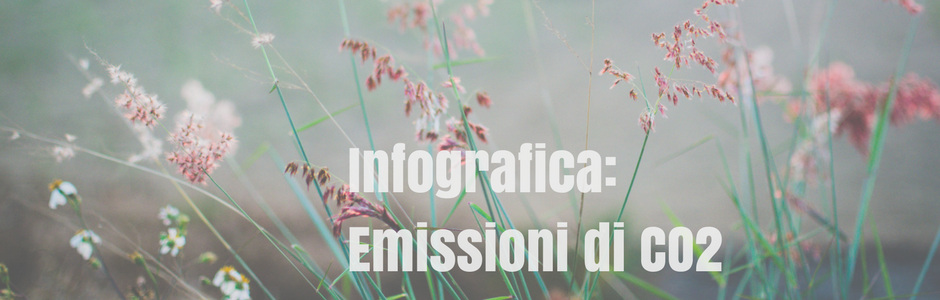 Infografica delle emissioni di CO2?