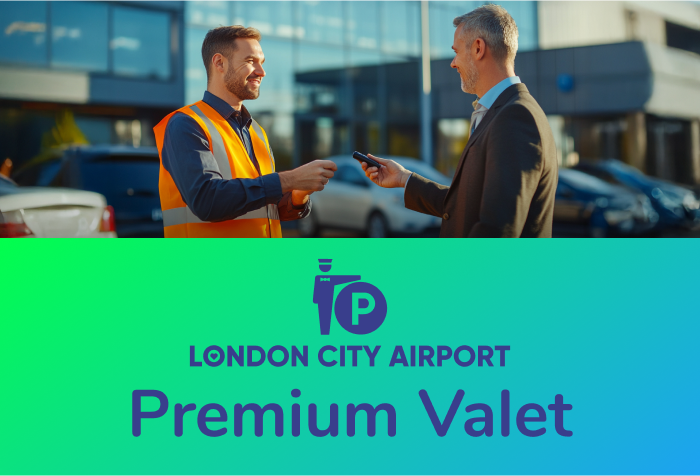 Official valet parking logo