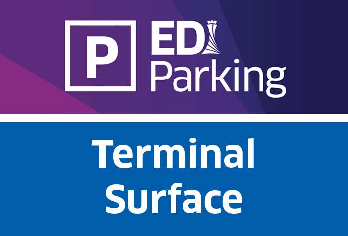 Terminal surface logo