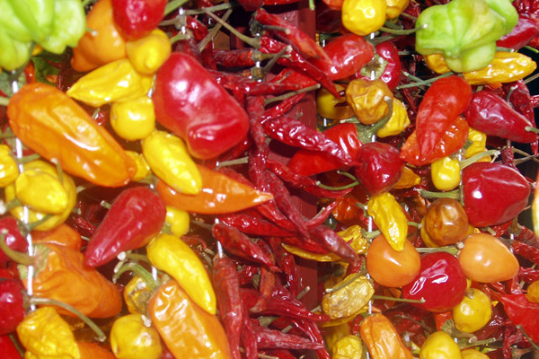 Peperoncini a Palma di Maiorca