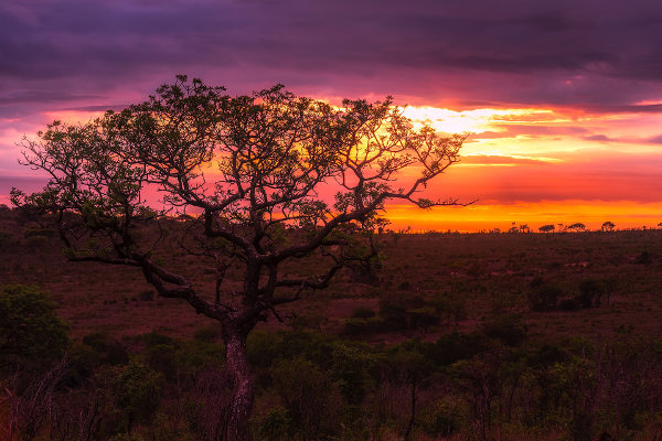 Eine Nacht-Safari? Sicher nur mit Führung, bitte nicht auf Alleingang! Safari bei Dämmerung