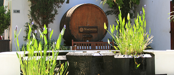 Sehenswuerdigkeiten Kapstadt Simonsig Simonsig in Kapstadt