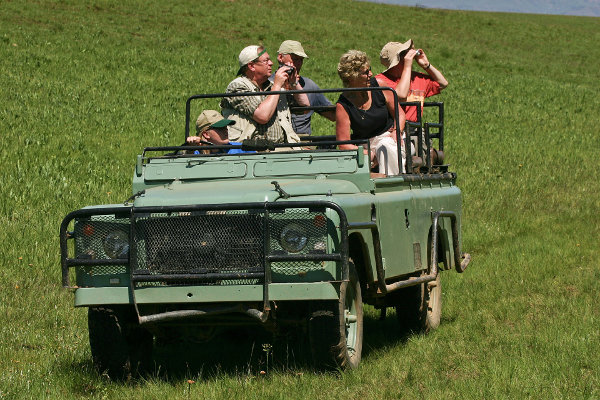 Als Tourist muss man sich auf Safari nicht so offensichtlich outen! Touristen im Jeep