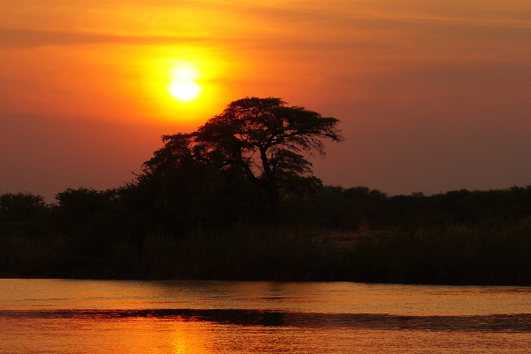 Dos und Don'ts Taschenlampe auf Safari mitnehmen! Sonnenuntergang Steppe