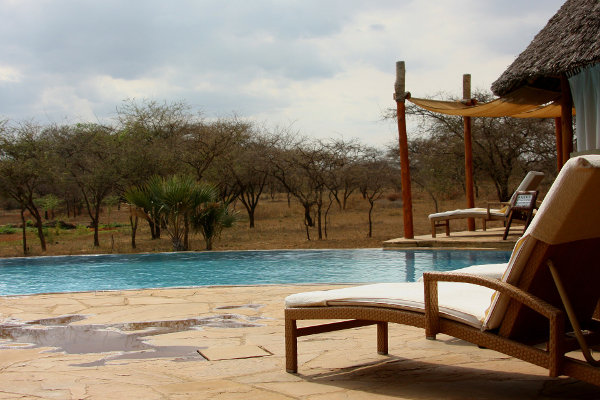 Auf einer Safari muss man auf Entspannen am Pool in einer Lodge nicht verzichten! Lodge mit Liege und Swimmingpool
